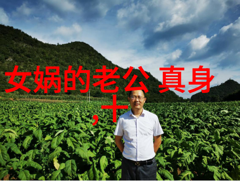 古代历史故事中的智慧与勇气一位英雄的誓言