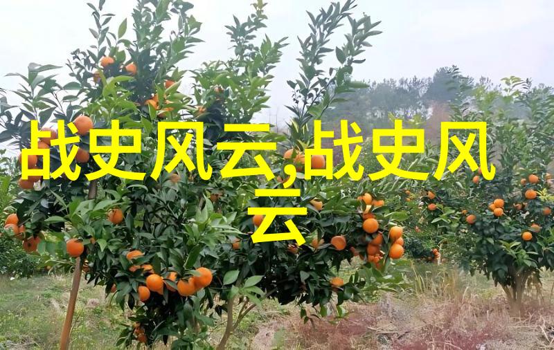 全国学籍管理系统林嗣环