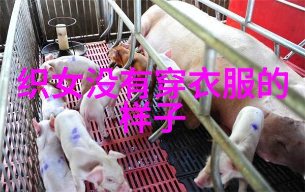 中国民间故事历史上有趣的名人故事在自然中的奇遇
