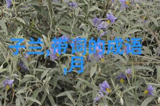 中国历史上十大天才文人的怯花书香背后的不敢随心