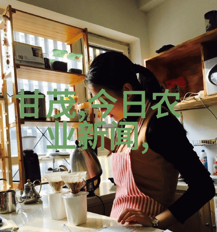 农村生活步入世界舞台率近发达国家民间故事传承新篇章