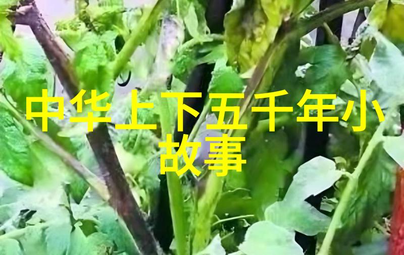 风华录唐代诗人李白的星辰之旅
