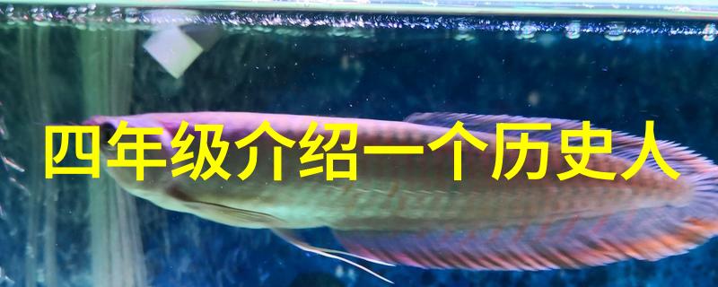 海峡新干线闪耀赖心辉的光芒之旅