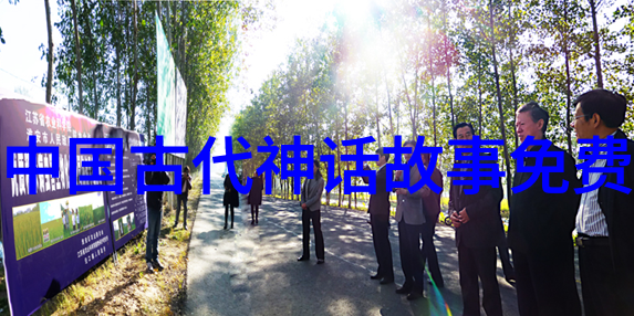 清朝君主的女儿称呼之谜公主与格格的对比考究