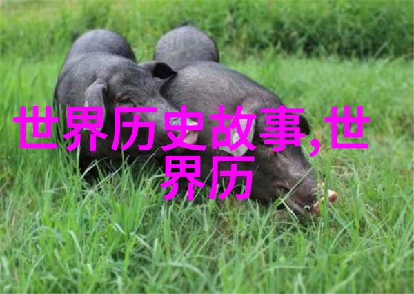 星光下的秘密花园一段温柔的梦境旅程