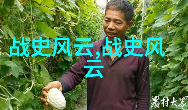 李盛藻京剧四大代表人物中的翎毛笔