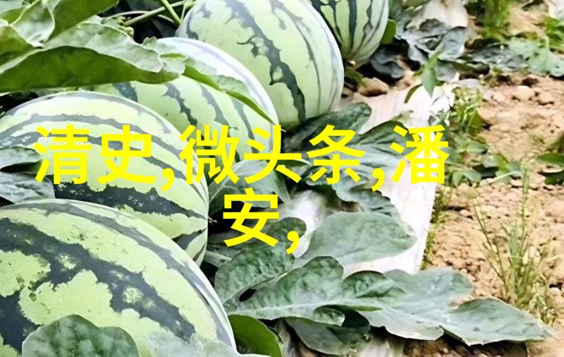 小朋友们的魔法花园