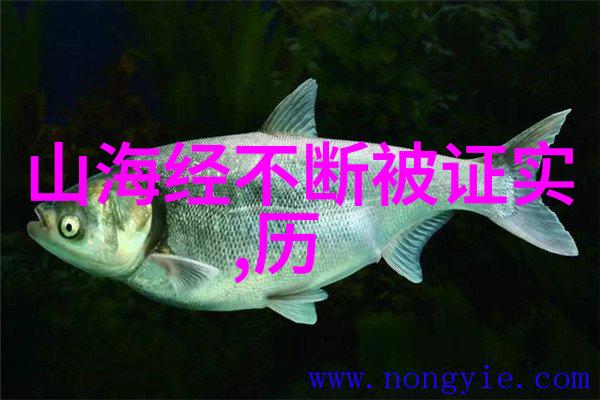 国学小名士观后感白敏中有何深刻体会