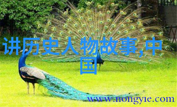 探秘中国历史小故事山中宰相与陶公洞的奇遇