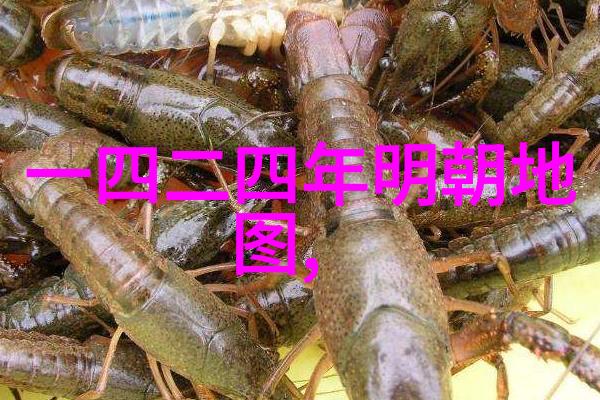 时间的秘密使者揭开历史上最神秘人物的真相