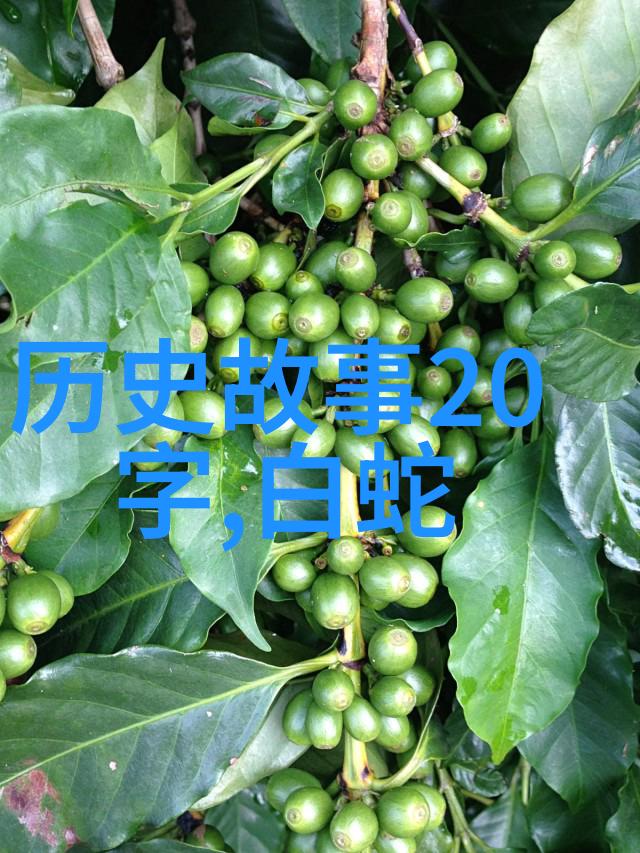 探秘中国神话古籍揭秘那些被遗忘的传奇故事