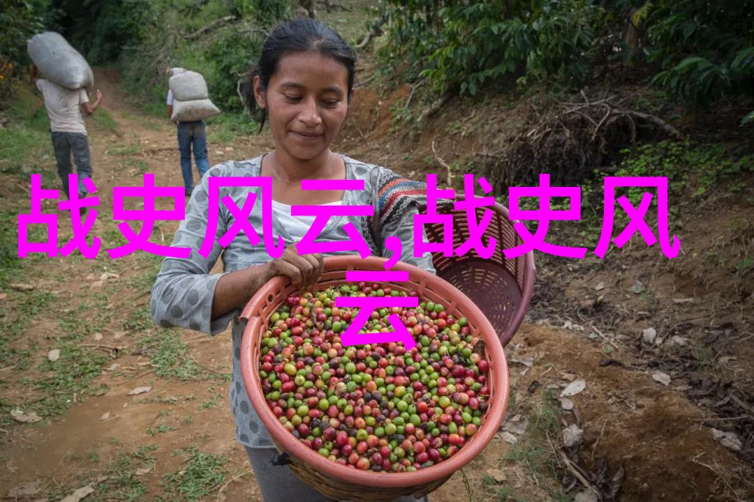 中国全部朝代历史中明朝16位皇帝为何苦寻张三丰张三丰究竟活了多少岁