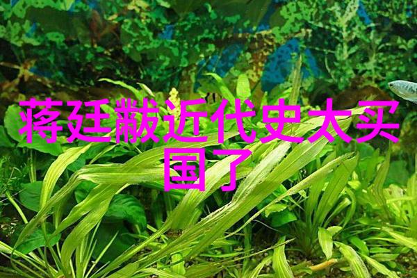 纵横千秋中国历史的织梦篇
