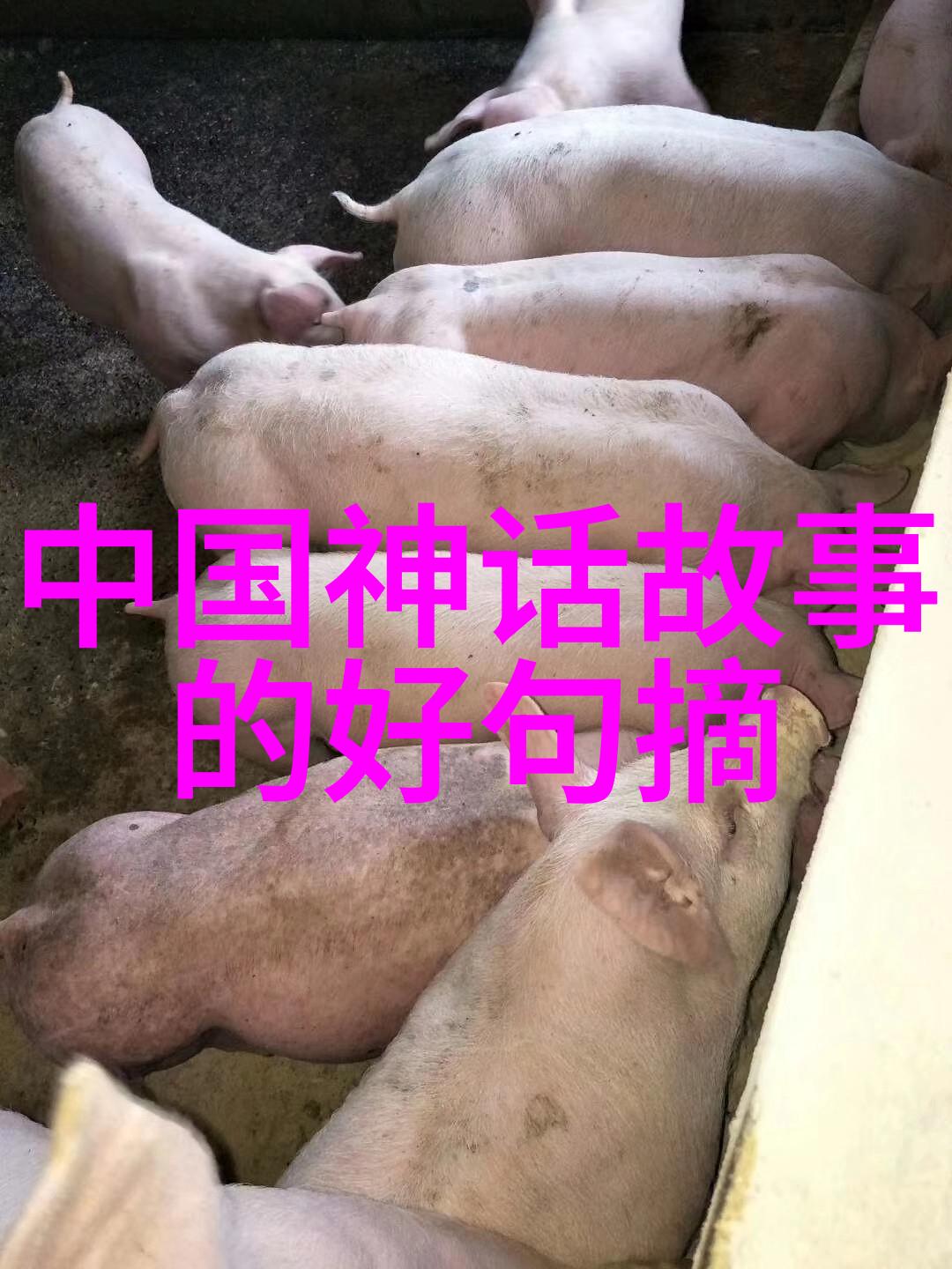 东晋十六国名将排名中白朴又如何