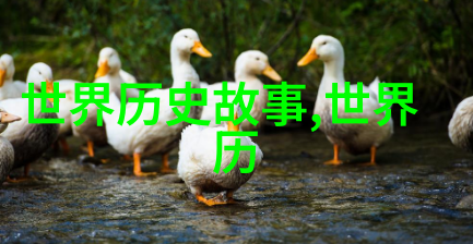 历史的转折点上那个一夜之间名声鹤立天下的英雄是谁