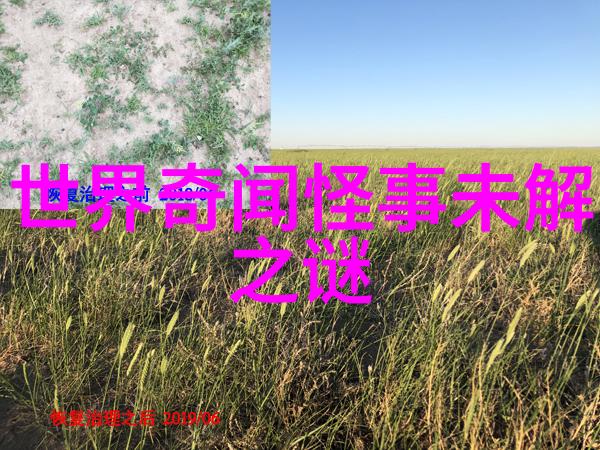 失落的古城陈慧寻宝记