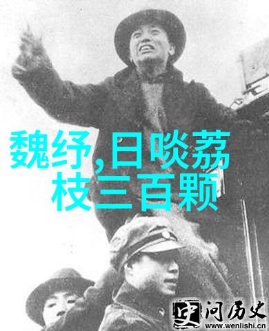 上下五千年的故事穿越时光的纹章与记忆