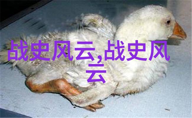 尚小云京剧舞台上的传奇女王