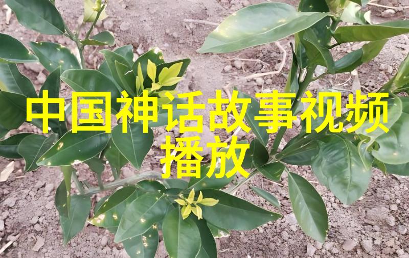 温暖夜晚的奇幻冒险带孩子们进入梦想王国