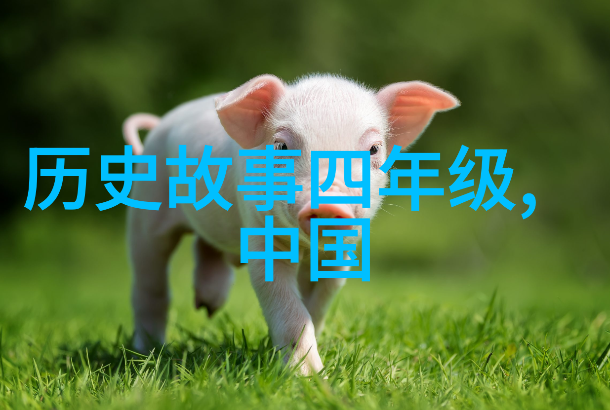 探索生活百态40种精彩瞬间的图片展览