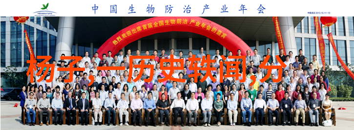 古今长河项羽与刘邦的争霸