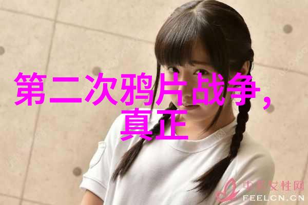 主题乾隆为什么不喜欢十三叔一个关于皇帝家庭恩怨的故事