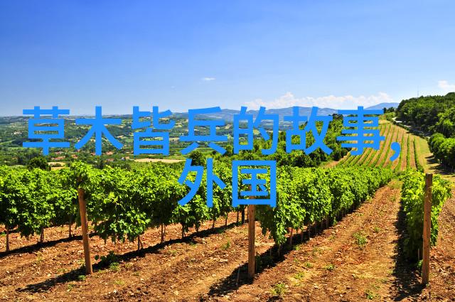 历史上有趣的名人故事-笑傲江湖探秘明末四大名将的豪迈一生