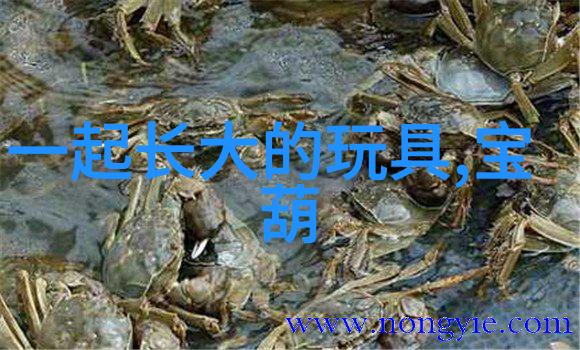 直女难撩-铁血直女她不轻易松动的守护心扉