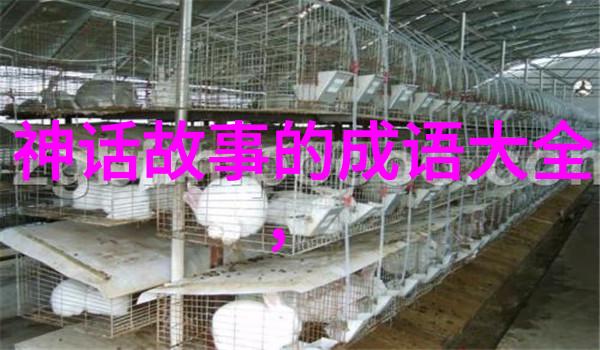 儿子比老公更大更硬朗的句子我家的这句话真让人啼笑皆非