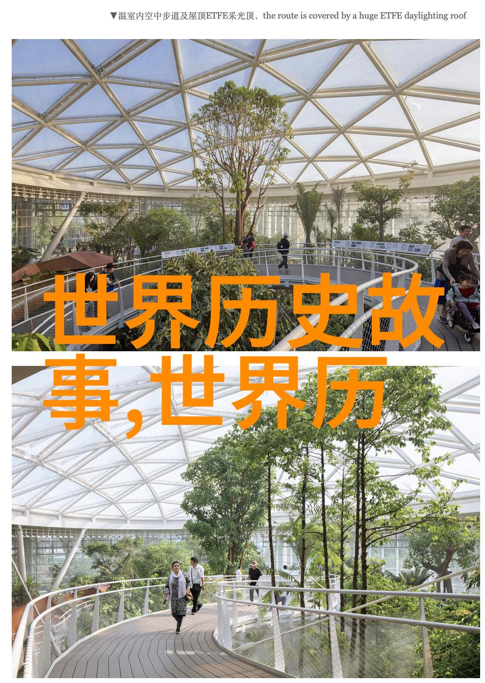 神话故事探秘4年级儿童的奇幻冒险四年级学生的神话世界探索