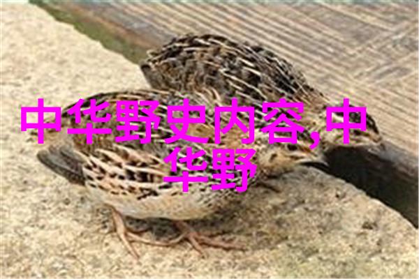 为什么是中华上下五千年中的79取经求佛像成了民间神话故事的佳话