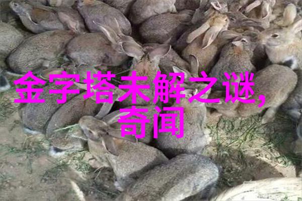 三国野史-蜀汉秘录刘备背后的权谋与人生
