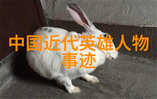 在中国民间故事中是否存在如枫林圣旨门般的传统文化故事短篇呢