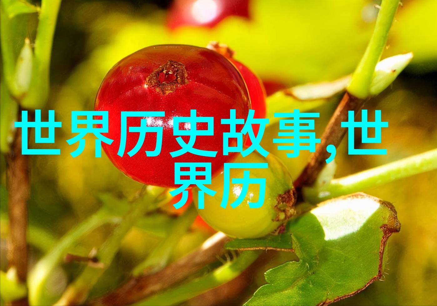 在古老的中国神话故事中究竟有哪些神秘之物能让凡人一遇到就无法自拔