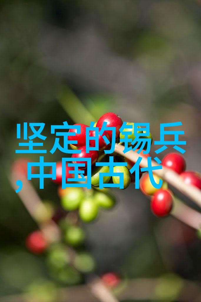 天文观象与星辰之旅中国历史故事图片大全中的天文学家有哪些令人赞叹的发现呢