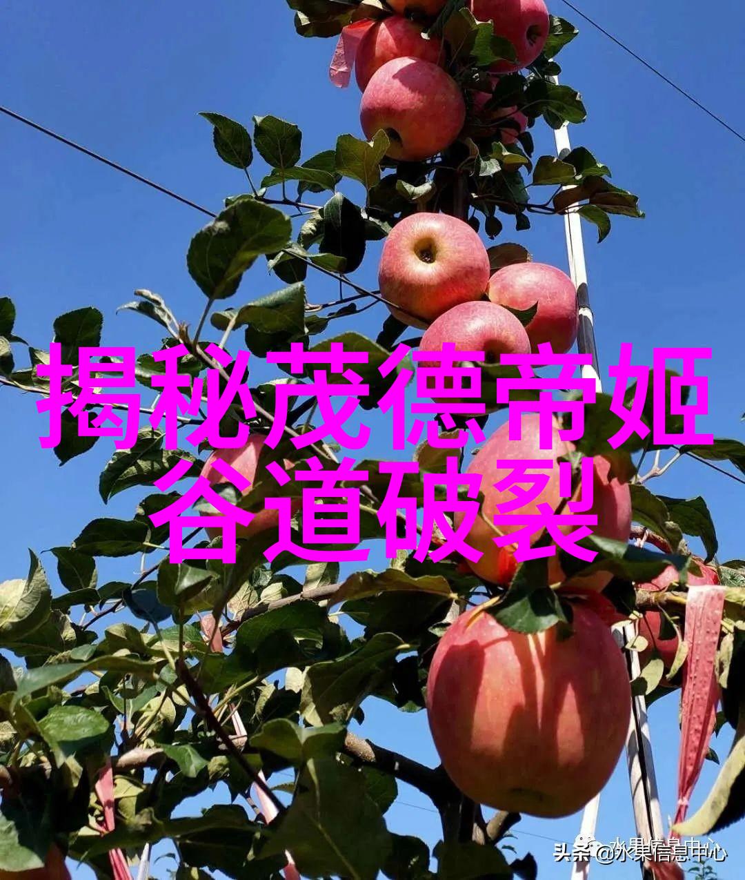 回响中的岁月重构历史的篇章