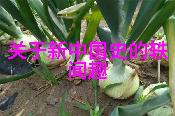 一千零一夜奇幻冒险东方神话中的精彩故事
