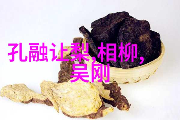 列夫托尔斯泰与小猫的奇遇