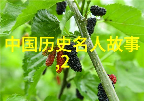 学学习技巧之外生活技能课堂上的秘籍又是啥