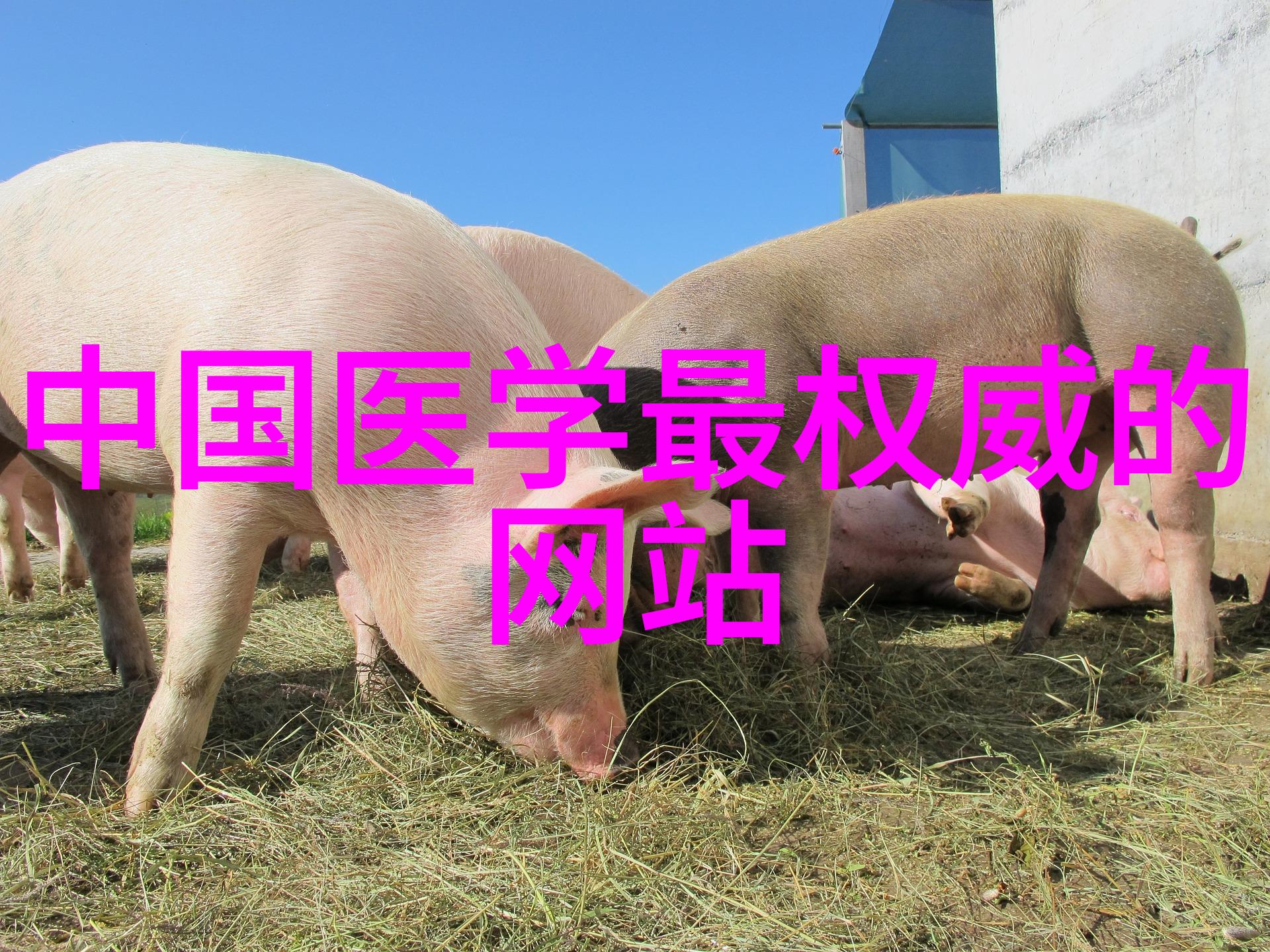 民间神话故事-穿梭云端的织女与牛郎传说中的梁山泊之恋