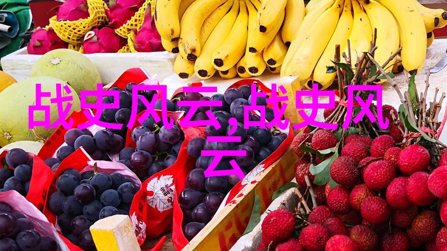 澳大利亚海豚城市与智慧生物共舞的奇遇