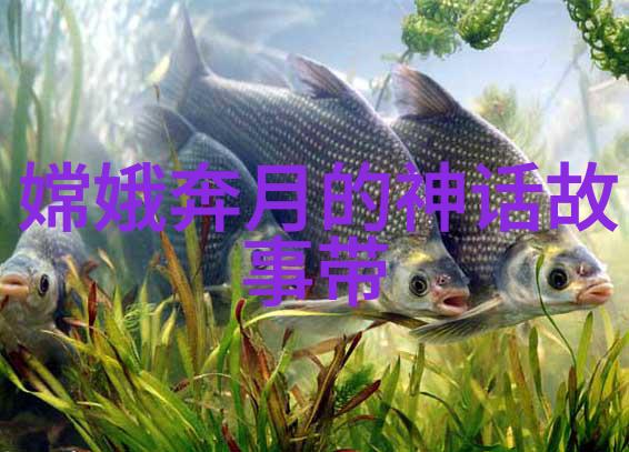 副厅级干部的历史奇遇揭秘明朝那些事背后的故事人
