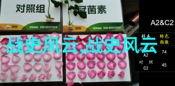三国演义中的周瑜智斗曹操亮剑于赤壁之战