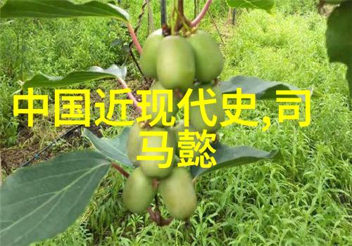 中国上下5000年朝代顺序奇葩皇帝辉煌明朝朱厚照最擅长游刃有余