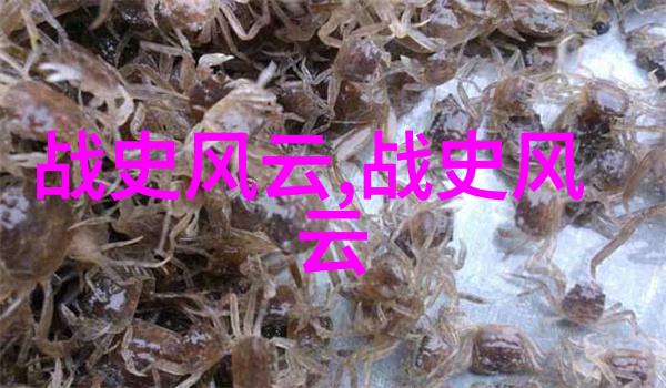 为什么明朝的军制比宋朝诡异知乎上的答案是什么