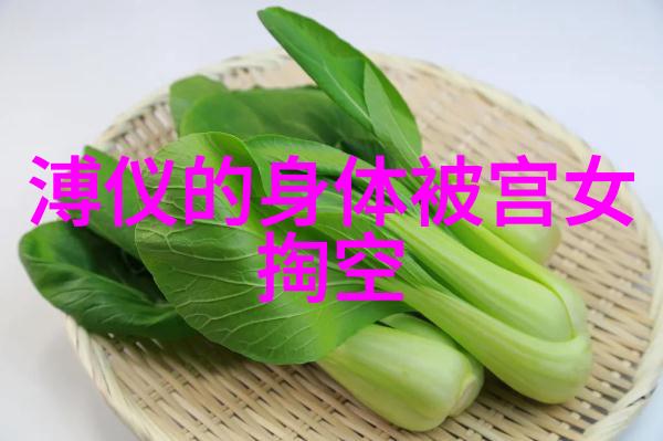 慈禧太后中国历史上的女强人与文化象征