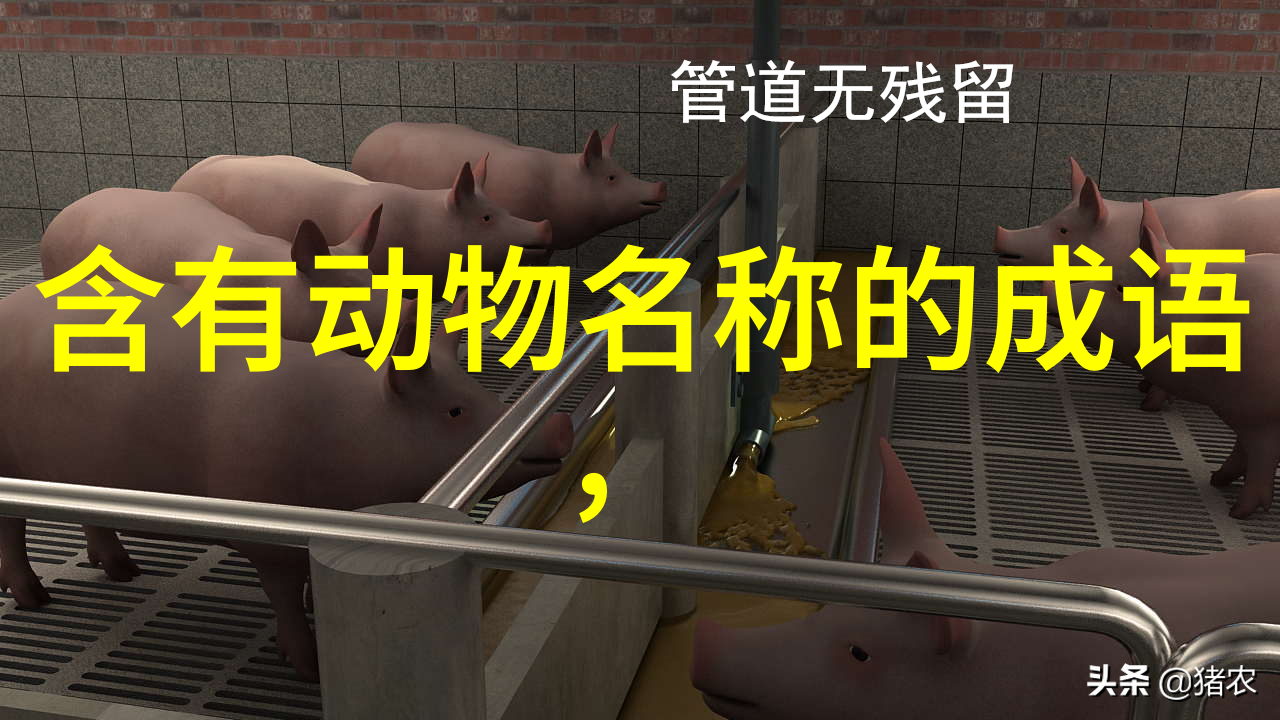 明朝末年为何会出现这样一位如茅盾所描述的逆流之人袁崇焕