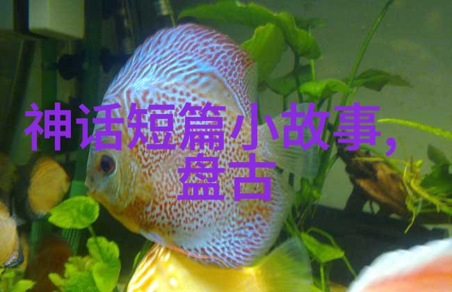 东汉名女的管道升仿佛一位悠闲的园丁在夜幕下轻声细语地引导着水流