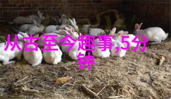 对参与者受害者家属以及社会大众来说这个事件意味着什么