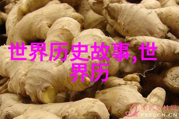 小说全文阅读我是如何在网上找到了所有我的最爱小说的